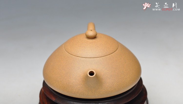 紫砂壶图片： 文人风韵 西施瓢 - 美壶网