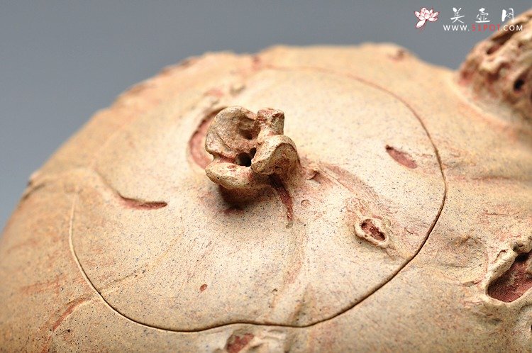 紫砂壶图片：实力派 全手木语 - 美壶网