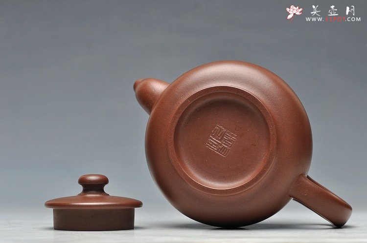 紫砂壶图片：清新婉约  小圆壶 - 美壶网