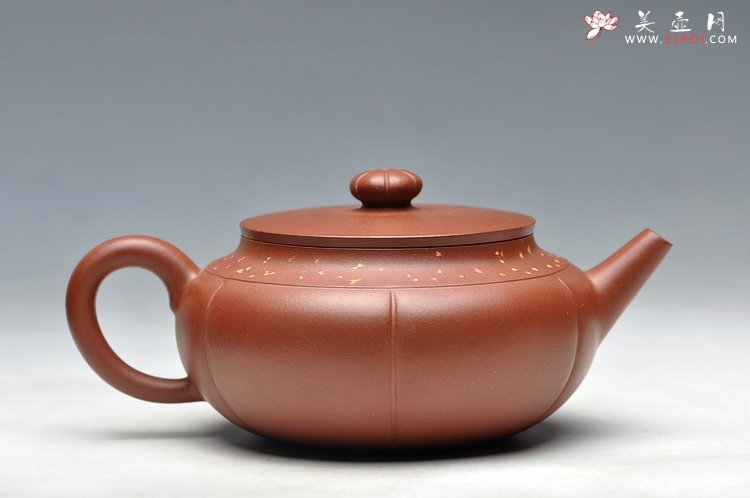 紫砂壶图片：灵气 薄胎实力 秋意 浓浓 - 美壶网