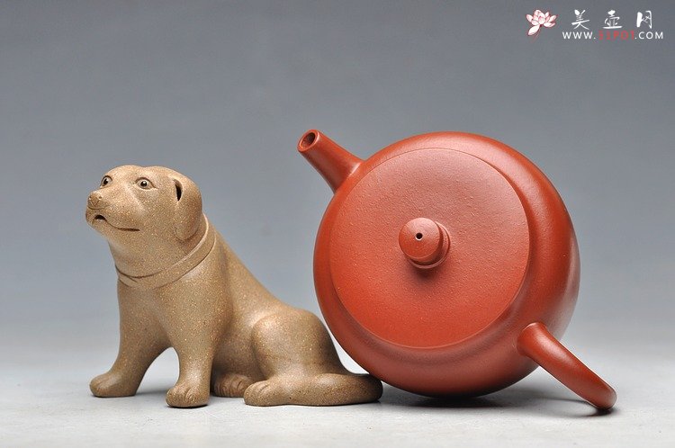 紫砂壶图片：大红袍 全手小圆壶 仅此1件 不接受定做 已出 - 美壶网