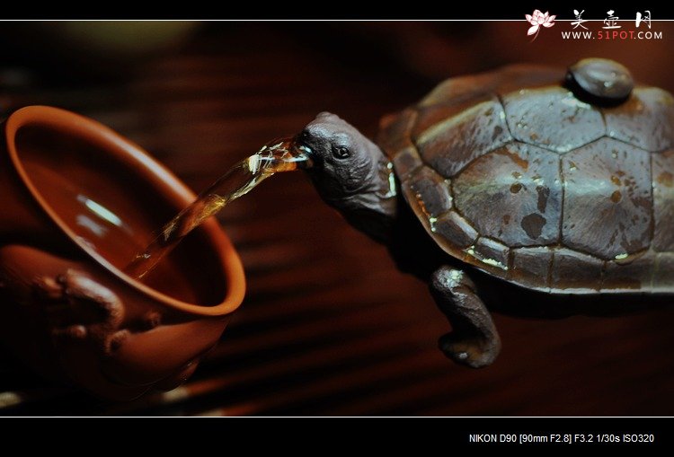 紫砂壶图片：‘名副其实’的龟寿茶  长寿哦o(∩_∩)o  - 美壶网