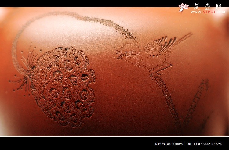 紫砂壶图片：莲蓬鸟之秋水 婉约风韵 亭亭玉立 - 美壶网