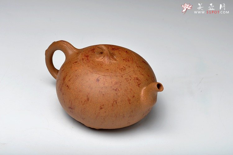 紫砂壶图片：蔡岩峰蜕变之作 新意心意 首创 全手野趣 - 美壶网