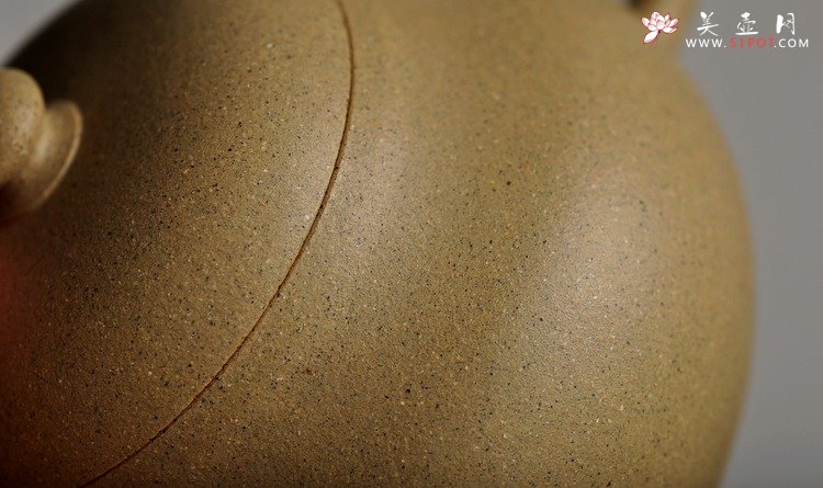 紫砂壶图片：古风耐品 素雅可人 本绿全手小君德 冬日里的小精灵 - 美壶网