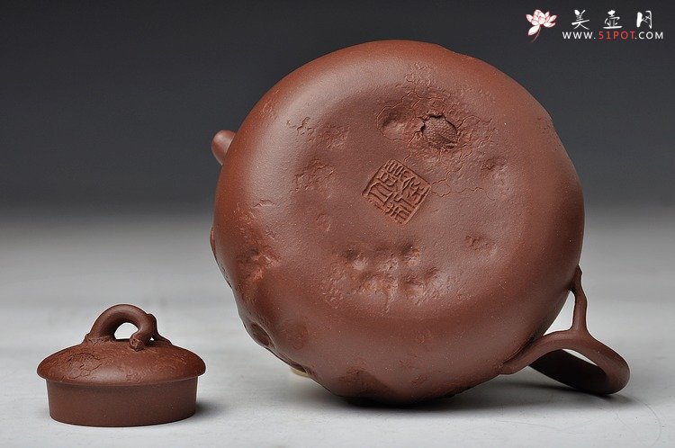 紫砂壶图片：孙金立 全手龙行龚春 精品代表作 丛林系列 - 美壶网