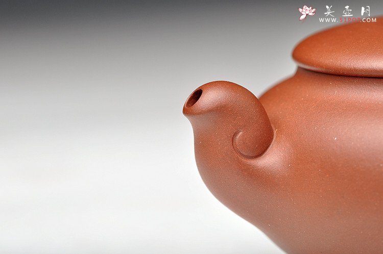 紫砂壶图片：容易让人恋上的新作  耐品清雅  一水情缘 - 美壶网