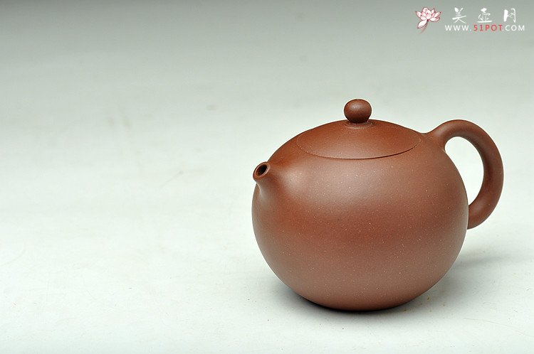 紫砂壶图片：天天特惠俏西施  带给你的家人和朋友 - 美壶网