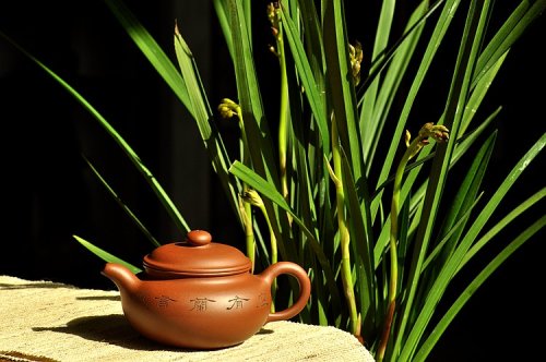 陆轶舟紫砂壶 婉约秀气 一捺底   仿古 座有兰言 原矿清水泥