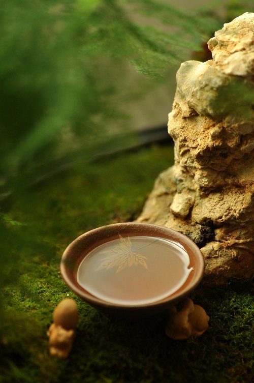 石丁紫砂壶 石丁秋韵杯  原矿紫泥