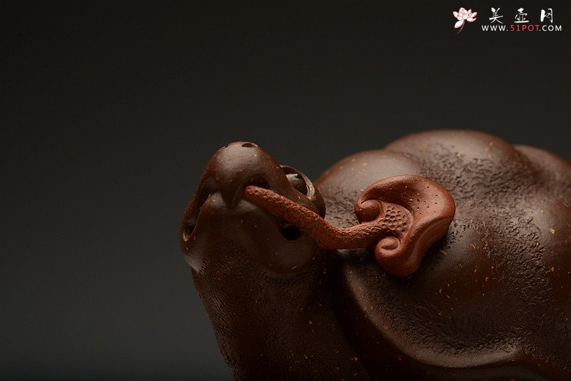 紫砂壶图片：寿龟送灵芝~ 寿上加寿o(∩_∩)o  憨态可掬 做工精致 用料讲究~ - 美壶网