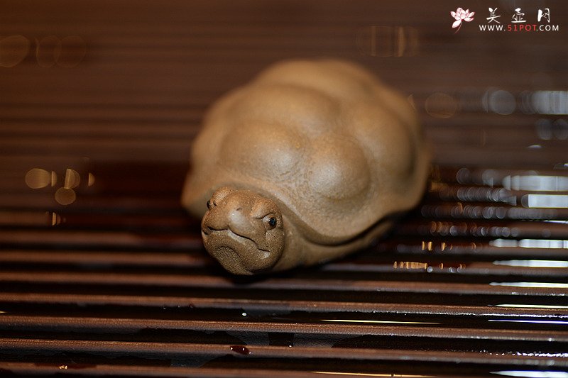 紫砂壶图片：龟虽寿之小龟o(∩_∩)o  茶盘宠物~ - 美壶网