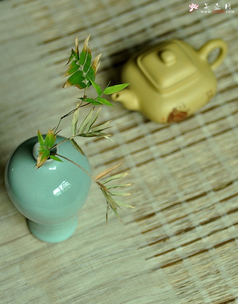 紫砂壶图片：文气小壶 器形端庄周正 本绿小传炉 - 美壶网