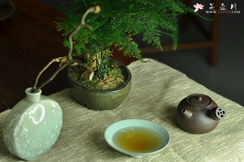 紫砂壶图片：金钱镂空~ 煮茶品茗 侧把巨轮 夏日风情~  电陶炉烧水 - 美壶网