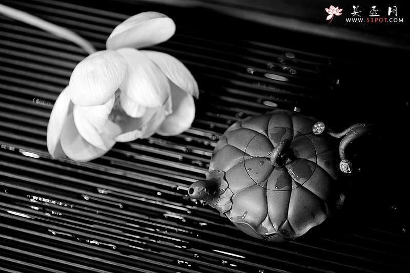 紫砂壶图片：习习清风 莲莲动情o(∩_∩)o  荷叶清风 孙伟强张新亚原创新品 夏雨荷 - 美壶网