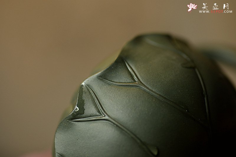 紫砂壶图片：习习清风 莲莲动情o(∩_∩)o  荷叶清风 孙伟强张新亚原创新品 夏雨荷 - 美壶网