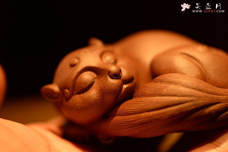 紫砂壶图片：栩栩如生 睡狸o(∩_∩)o  精品茶宠 - 美壶网