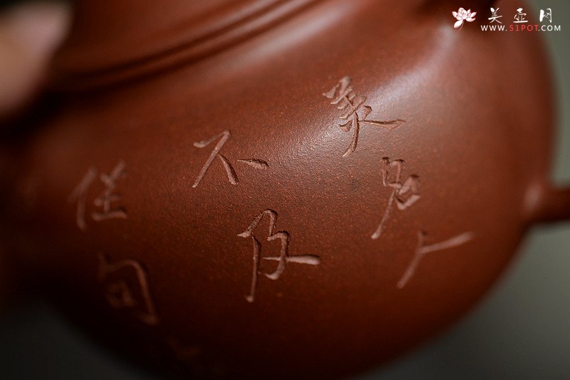 紫砂壶图片：鸿渝山房摹古之留佩莲子 娇小可人 美壶特惠 - 美壶网