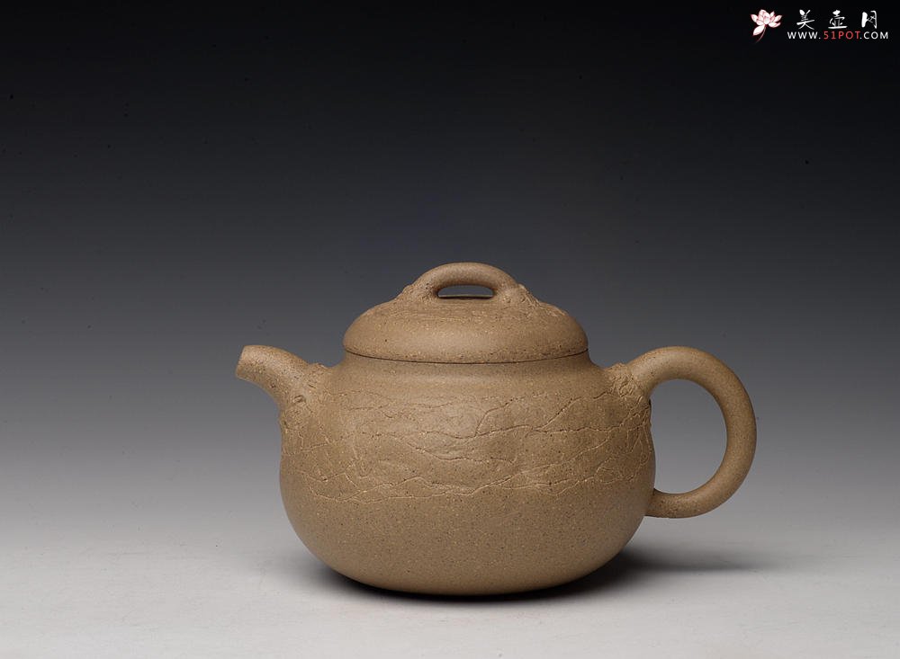 紫砂壶图片：创意小花 小巧可人 优质段泥 瓜韵 - 美壶网