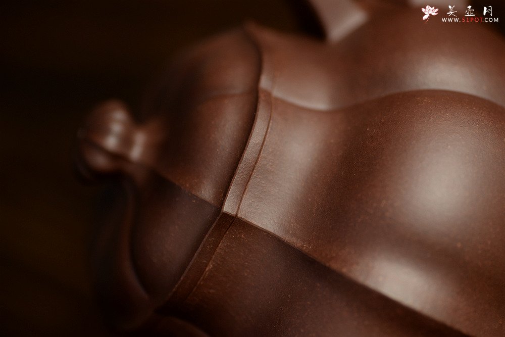 紫砂壶图片：筋囊实力派蔡旭伟力作  大美肌理 张力十足 全手星月提梁 - 美壶网