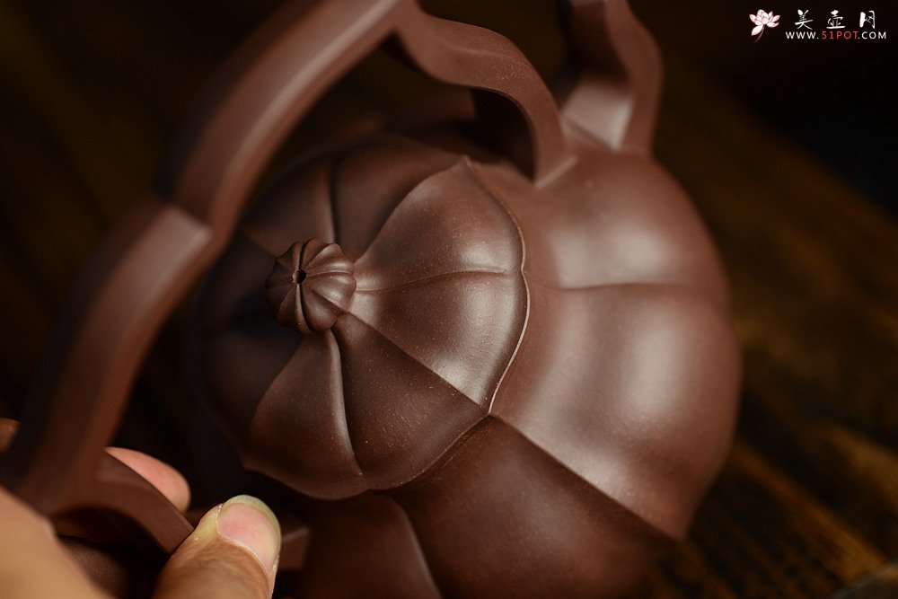 紫砂壶图片：筋囊实力派蔡旭伟力作  大美肌理 张力十足 全手星月提梁 - 美壶网