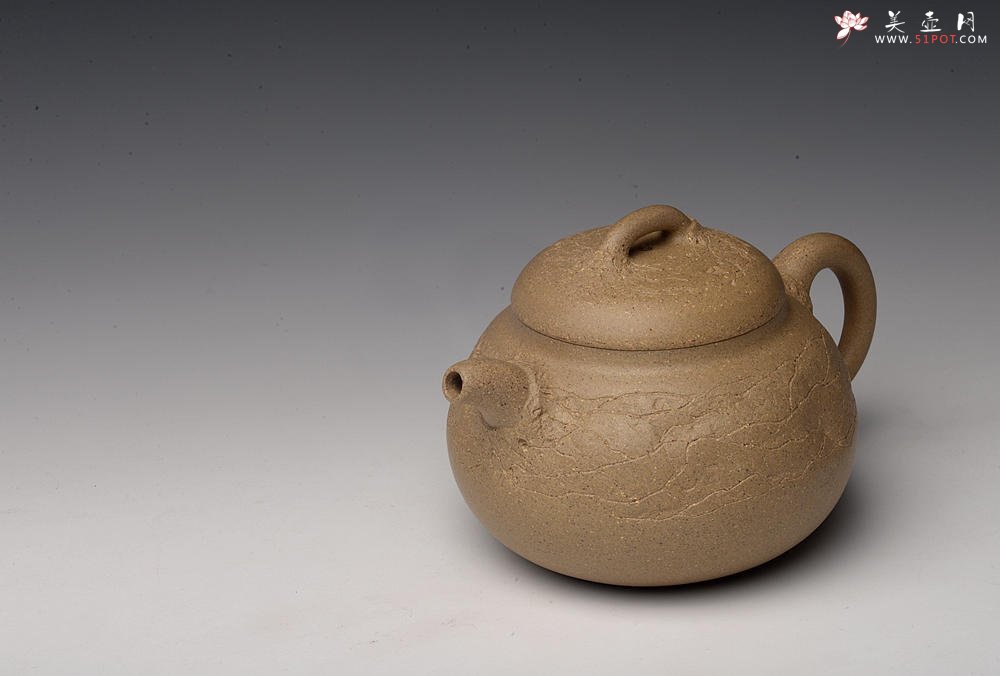 紫砂壶图片：创意小花 小巧可人 优质段泥 瓜韵 - 美壶网