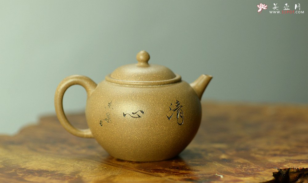 紫砂壶图片：陈进作品  圆润饱满 实用有趣 全手圆珠 - 美壶网