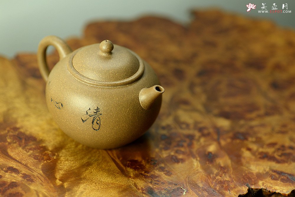 紫砂壶图片：陈进作品  圆润饱满 实用有趣 全手圆珠 - 美壶网