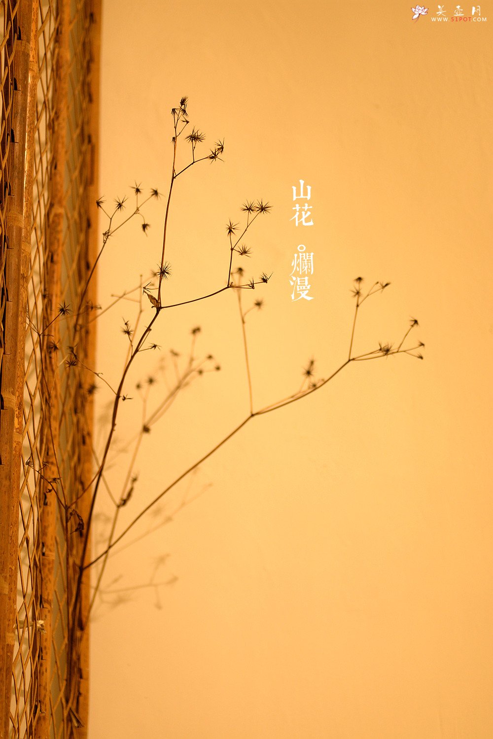 紫砂壶图片：手工雕塑 抓型学院派~ 修善罗汉 - 美壶网