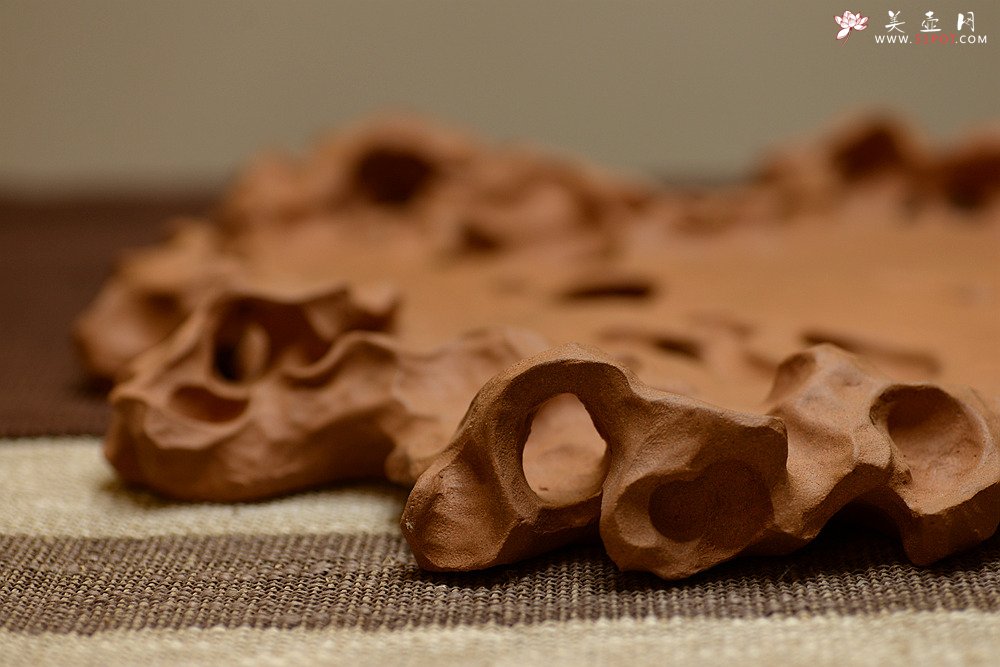 紫砂壶图片：学院派风格~非常好玩的作品~ 全手工太湖石干泡台 - 美壶网