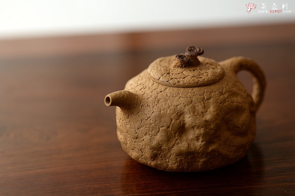紫砂壶图片：全手薄胎灵芝瓜纽龚春 古朴之味 自然生动 - 美壶网