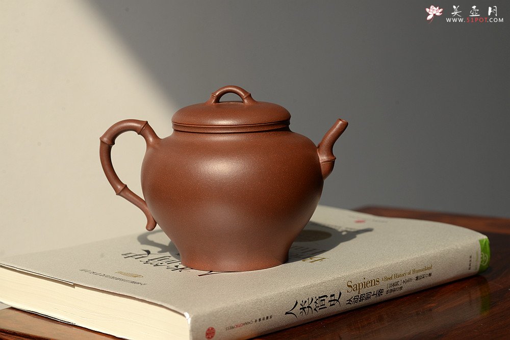 紫砂壶图片：潘丹初原创‘秀气’系列之春竹 纯净底槽青  婉约清秀 行简意足 - 美壶网