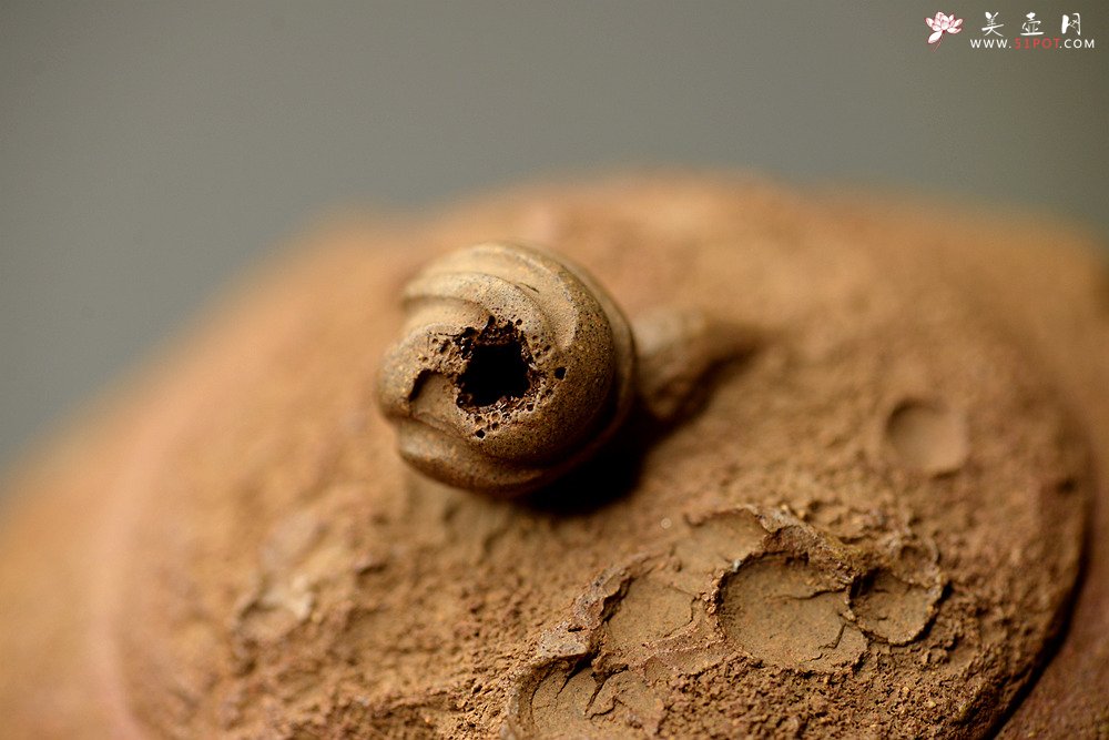 紫砂壶图片：陈进全手新品 造型新颖 优雅之作 全手树魂 - 美壶网