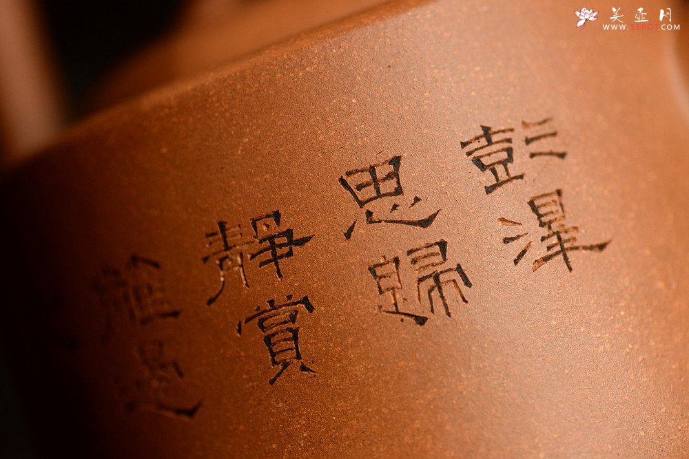 紫砂壶图片：陆逸舟精心装饰 素雅之作 挺拔俊秀 全手曼生提梁  - 美壶网