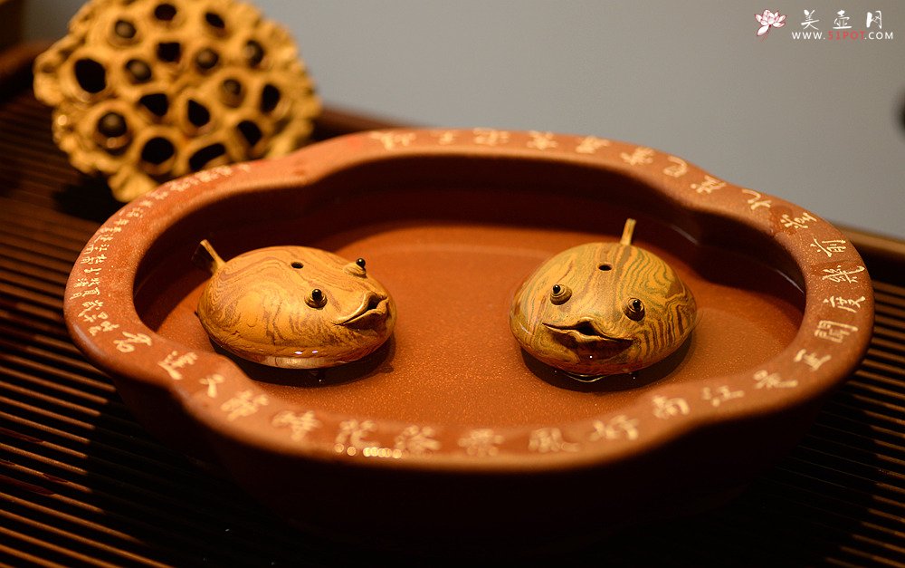 紫砂壶图片：施奇华特色全手茶宠 夏日风情 全手七彩鱼 茶盘尤物 - 美壶网