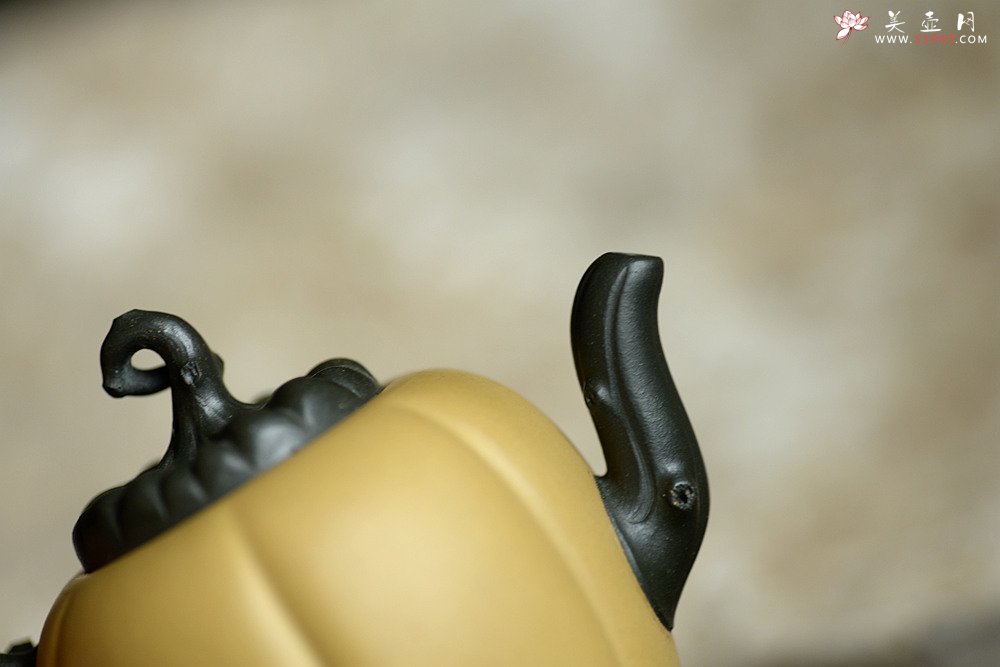 紫砂壶图片：原创作品 本段小金瓜 灵巧曼妙 夏日利器 孙伟强张新亚合作 - 美壶网