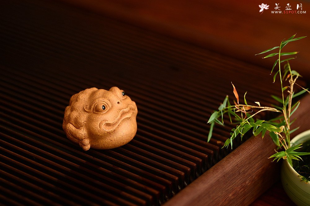 紫砂壶图片：李爱民精致茶宠 聚宝蟾 神态逼真 生动传神 招财纳福  - 美壶网