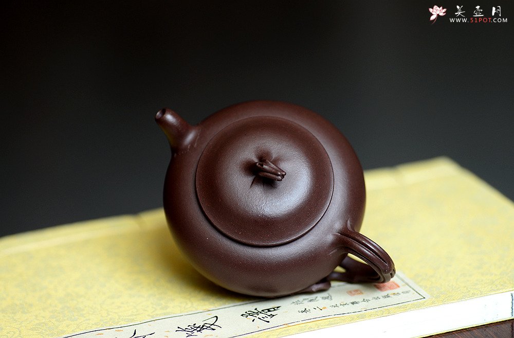紫砂壶图片：高雪琴全手新作 做工精致 构思精妙别有风味 春韵壶 - 美壶网