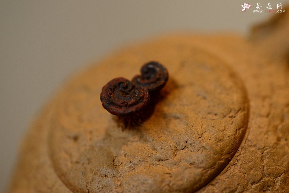 紫砂壶图片：古拙大气 全手游龙龚春 谢多莲作品 - 美壶网