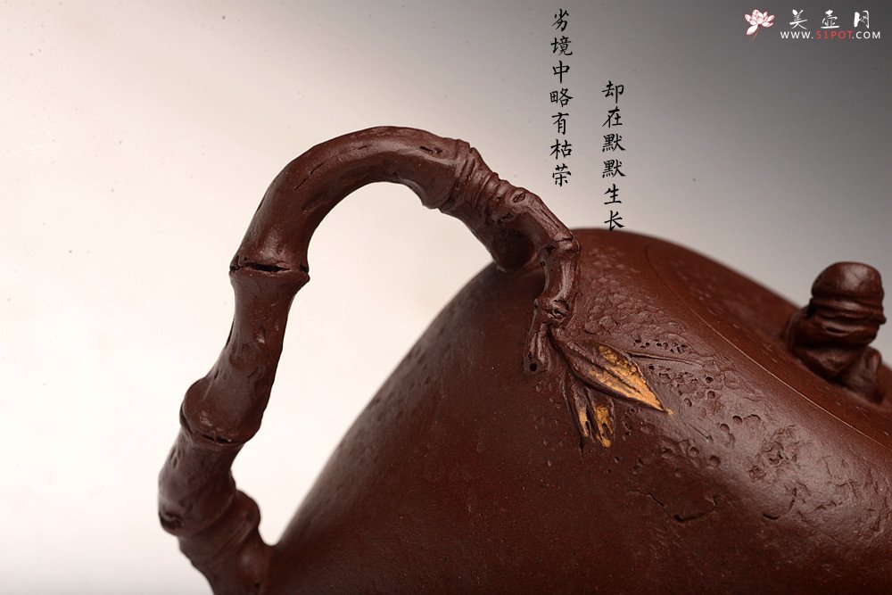 紫砂壶图片：潘丹初全手新作 泥‘玄’系列之玄石 古拙文气  石竹 峥嵘岁月 - 美壶网