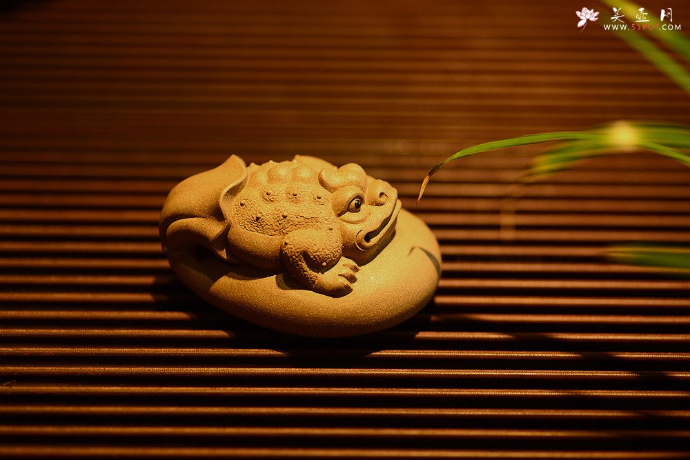 紫砂壶图片：金蟾 做工精致 栩栩如生 和气生财 茶盘尤物 - 美壶网