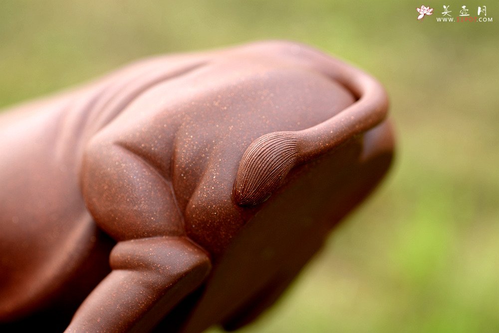 紫砂壶图片：稳如泰山~~犀牛 做工细腻 主体神态逼真 别有一番风味！ - 美壶网