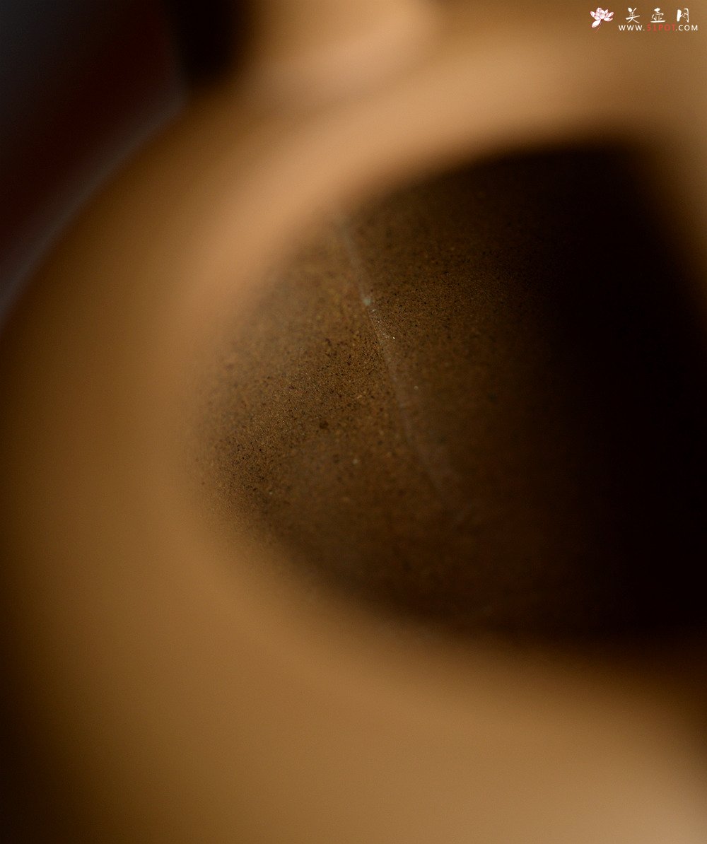 紫砂壶图片：淞庐原创作品 饱满挺拔 雅致文气 全手心经提梁 可以烧水的巨轮 - 美壶网