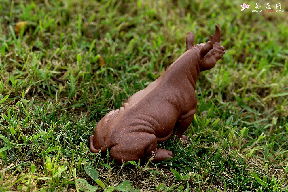 紫砂壶图片：稳如泰山~~犀牛 做工细腻 主体神态逼真 别有一番风味！ - 美壶网