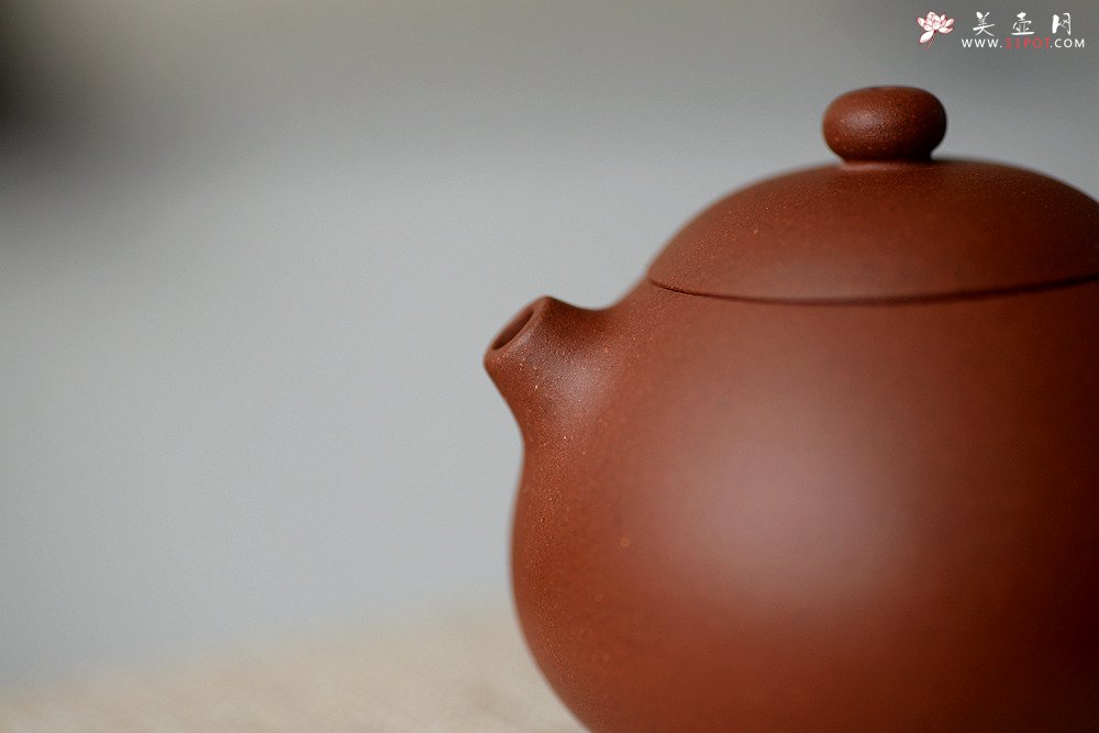 紫砂壶图片：美壶特惠 圆润饱满 实用小品 文旦 - 美壶网