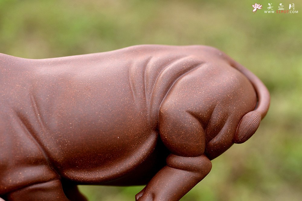 紫砂壶图片：稳如泰山~~犀牛 做工细腻 主体神态逼真 别有一番风味！ - 美壶网