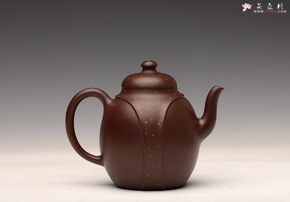 紫砂壶图片：徐正涛经典代表作 全手高龙带 高俊神逸~ 精工佳品 - 美壶网