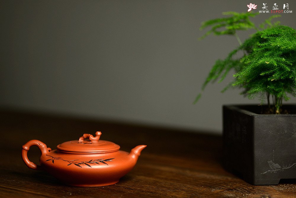 紫砂壶图片：优质朱泥 绿茶友人 扁竹 简意花货 - 美壶网