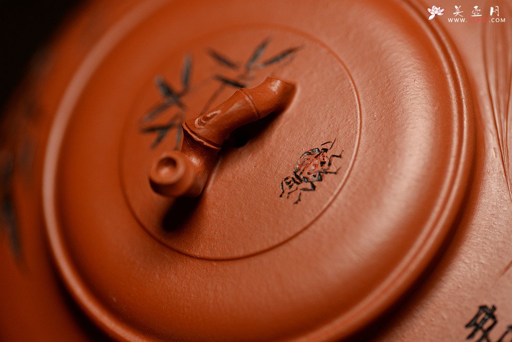 紫砂壶图片：优质朱泥 绿茶友人 扁竹 简意花货 - 美壶网