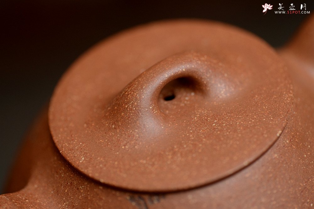 紫砂壶图片：陈进原创力作 全手东石韵瓢 刚柔并济 张听刚装饰  - 美壶网